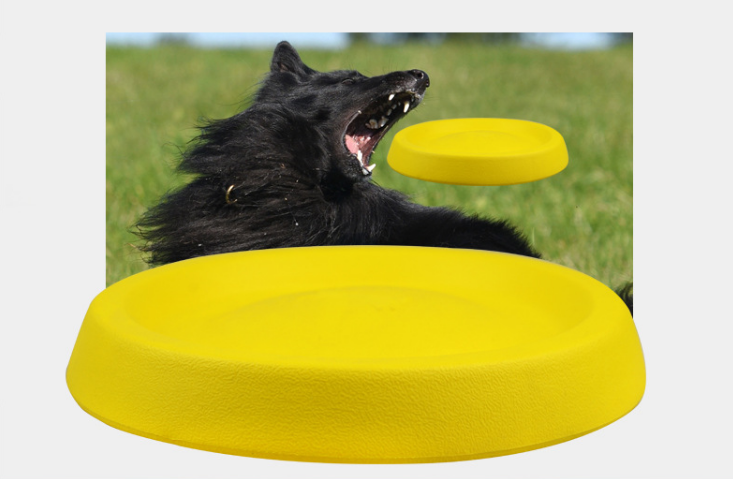 Pet Dogs Throwing Plastic Toys