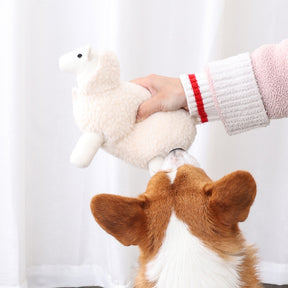 Lambs Train To Play And Sniff Tibetan Food Pet Toys