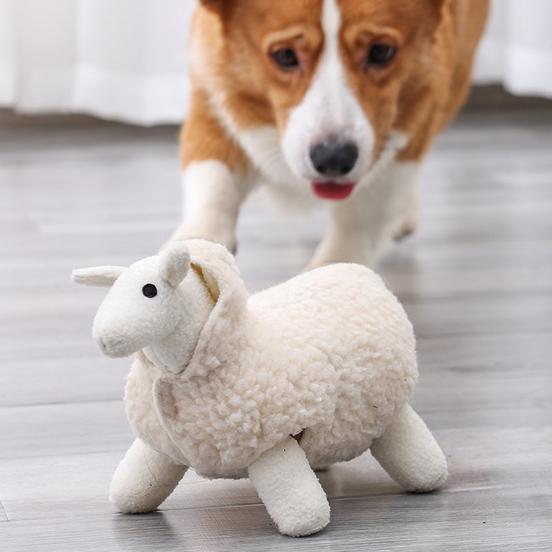 Lambs Train To Play And Sniff Tibetan Food Pet Toys