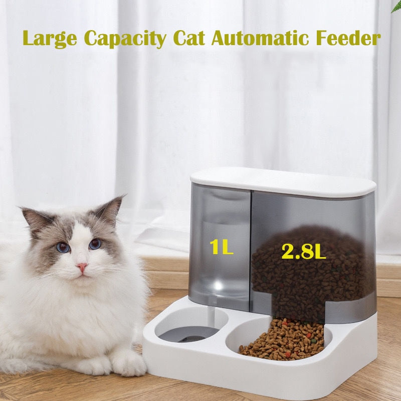 Large Capacity Cat Automatic Feeder Water Dispenser