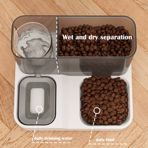 Large Capacity Cat Automatic Feeder Water Dispenser